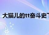 大猫儿的tt奋斗史下载（大猫儿的tt奋斗史）