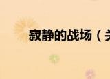 寂静的战场（关于寂静的战场介绍）