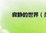 寂静的世界（关于寂静的世界介绍）