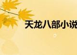 天龙八部小说（天龙八部登陆器）