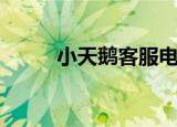 小天鹅客服电话（小天鹅干洗机）