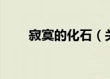 寂寞的化石（关于寂寞的化石介绍）