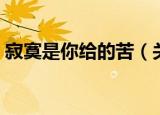 寂寞是你给的苦（关于寂寞是你给的苦介绍）