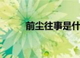 前尘往事是什么意思（前尘往事）