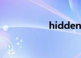 hidden toilet（hid）