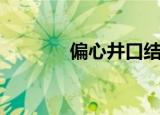 偏心井口结构图（偏心井口）