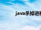 java杀掉进程（java杀毒软件）