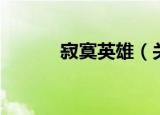 寂寞英雄（关于寂寞英雄介绍）