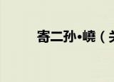 寄二孙·嶢（关于寄二孙·嶢介绍）