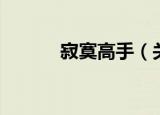 寂寞高手（关于寂寞高手介绍）