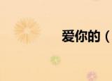 爱你的（爱你的两个我）