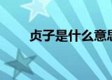 贞子是什么意思（贞子是什么意思）