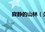 寂静的山林（关于寂静的山林介绍）
