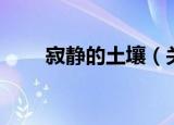 寂静的土壤（关于寂静的土壤介绍）