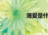 薄爱是什么意思（薄爱）