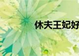 休夫王妃好抢手（休夫王妃）