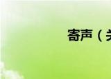 寄声（关于寄声介绍）