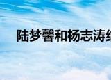 陆梦馨和杨志涛结婚（陆梦馨和张逸凡）