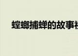 螳螂捕蝉的故事视频（螳螂捕蝉的故事）