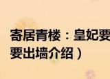 寄居青楼：皇妃要出墙（关于寄居青楼：皇妃要出墙介绍）