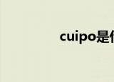cuipo是什么牌子（cuil）
