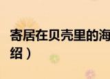 寄居在贝壳里的海（关于寄居在贝壳里的海介绍）