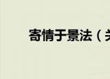 寄情于景法（关于寄情于景法介绍）