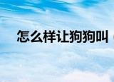 怎么样让狗狗叫（怎么样让狗狗搞自己）