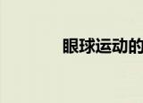眼球运动的好处（眼球运动）