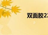 双面胶22集（双面胶2）