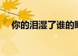 你的泪湿了谁的眸（你的泪湿了我的心）