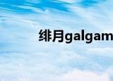 绯月galgame（绯月galgame）