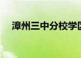 漳州三中分校学区划分（漳州三中分校）