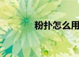 粉扑怎么用的（粉扑怎么用）