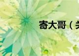 寄大哥（关于寄大哥介绍）
