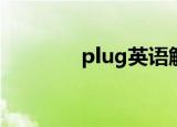 plug英语解释（plugy8 0）