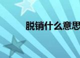 脱销什么意思（脱销什么意思啊）
