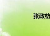 张政枋（张政老婆）