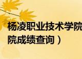 杨凌职业技术学院成教学院（杨凌职业技术学院成绩查询）