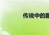 传说中的服务器网站打不开