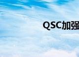  QSC加强了在荷兰的业务
