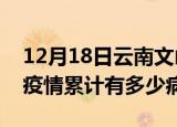 12月18日云南文山疫情最新状况今天及文山疫情累计有多少病例