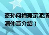 寄孙问梅兼示泥清仲宣（关于寄孙问梅兼示泥清仲宣介绍）