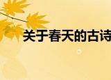 关于春天的古诗词（关于春天的古诗）