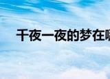 千夜一夜的梦在哪能看（千夜一夜的梦）