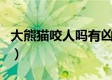 大熊猫咬人吗有凶残的一面吗（大熊猫咬人吗）