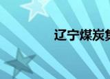 辽宁煤炭集团（辽宁煤炭）