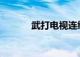 武打电视连续剧（武(打一字)）
