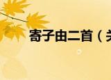 寄子由二首（关于寄子由二首介绍）