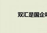 双汇是国企吗（双汇是国企吗）